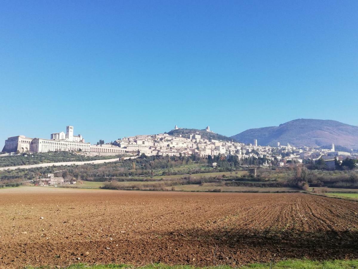 Villa Gina Assisi Exteriér fotografie